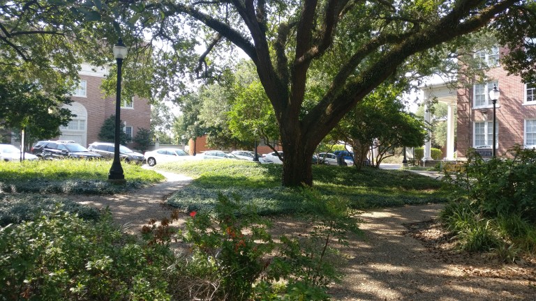 img_20180822_1542231