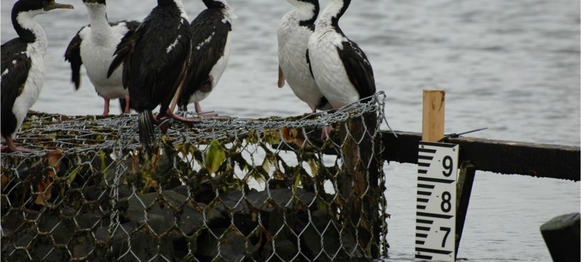 Praktilised harjutused – loodete&nbsp;mõõtmine