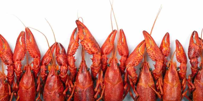 https _cdn.evbuc.com_images_52808117_96908321753_1_original